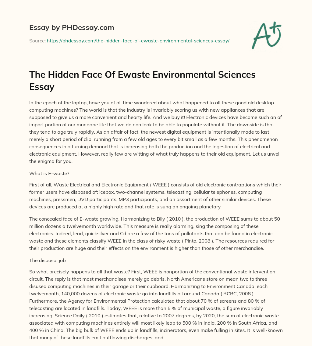 The Hidden Face Of Ewaste Environmental Sciences Essay essay