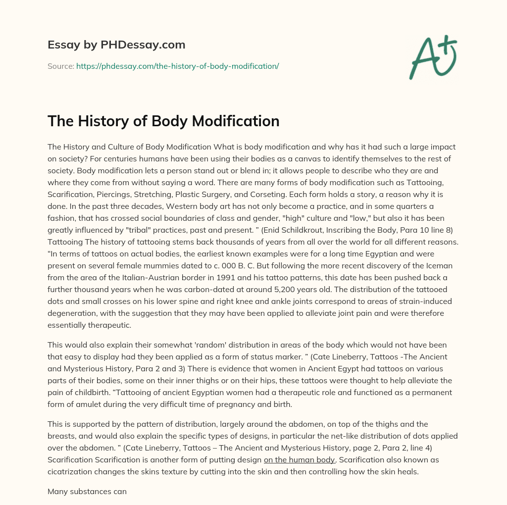 body modification essay introduction