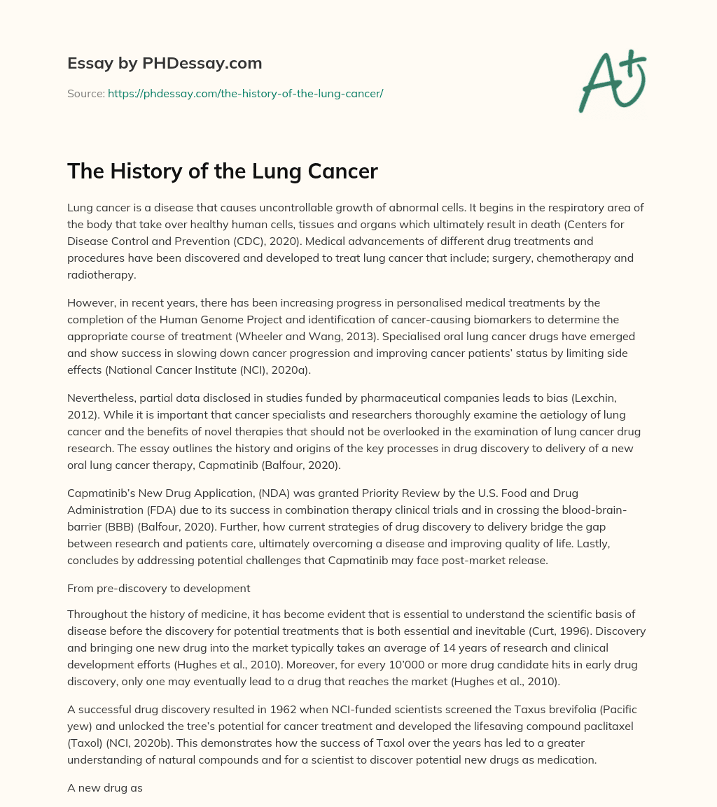 essay about lung cancer