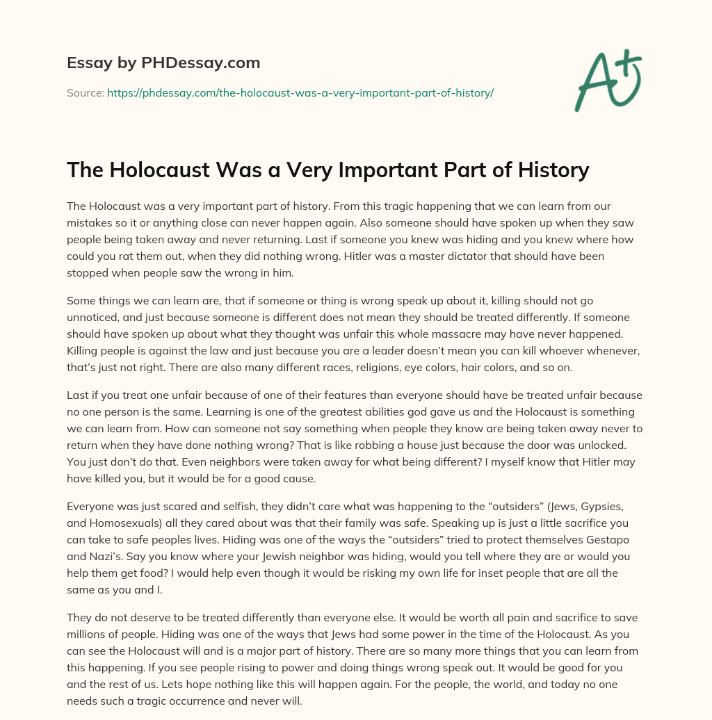 The Holocaust Was a Very Important Part of History essay