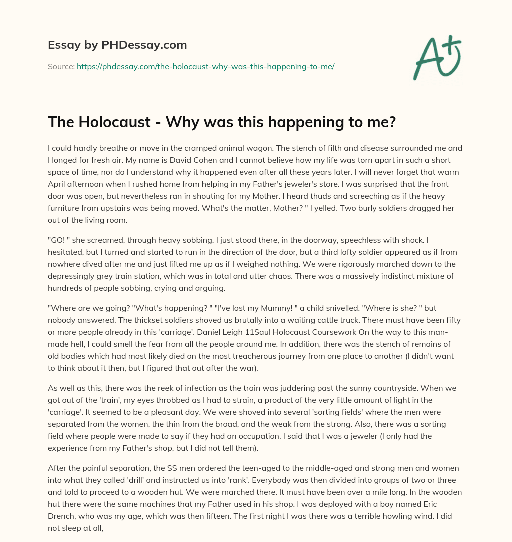 The Holocaust – Why was this happening to me? essay