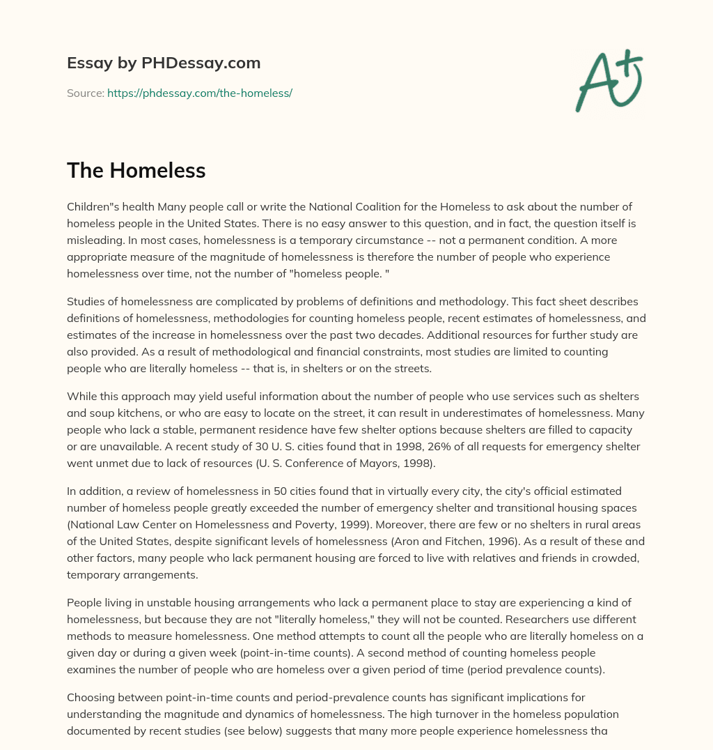 The Homeless essay