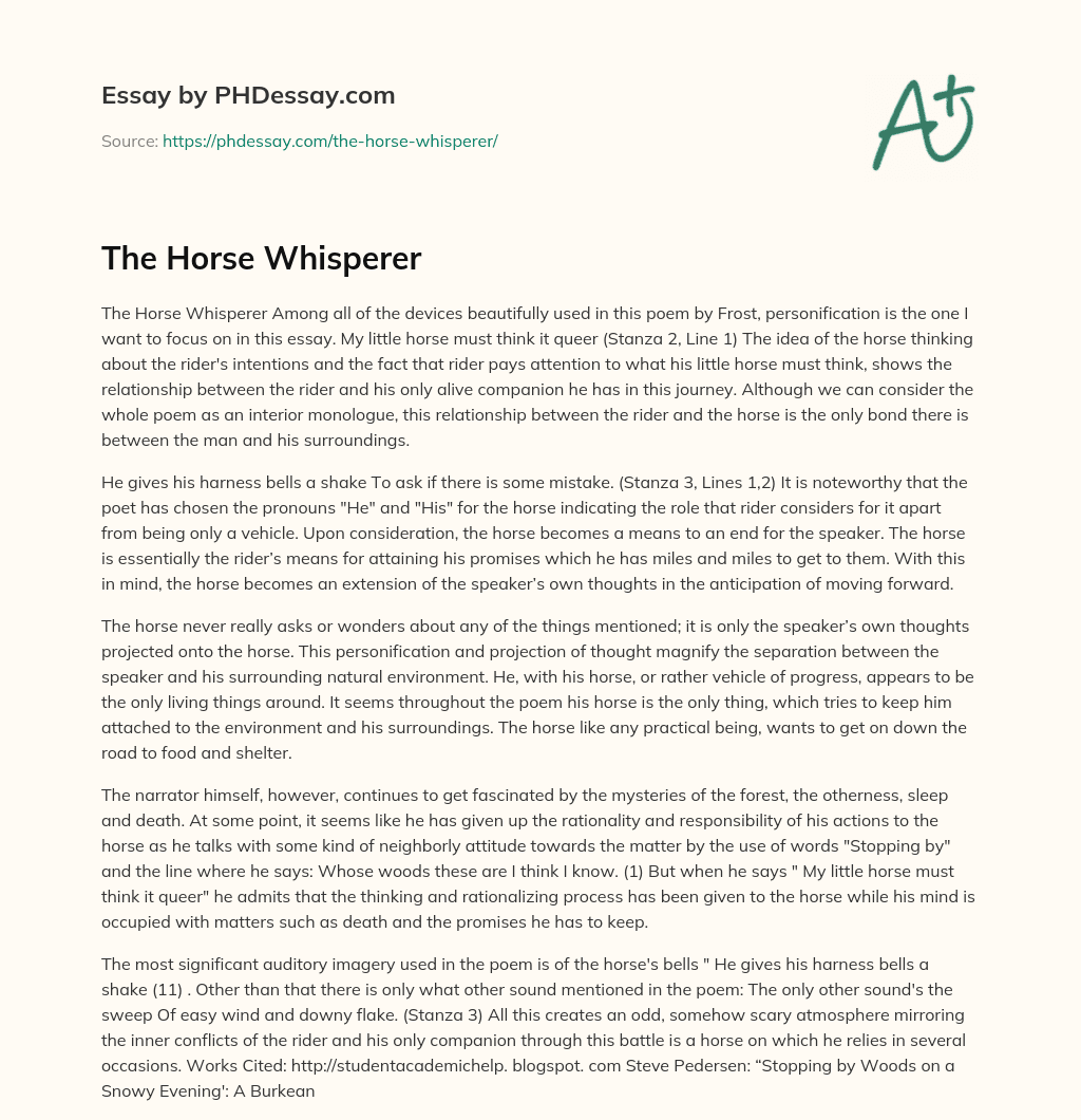 The Horse Whisperer essay