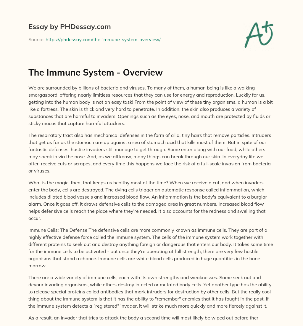 The Immune System – Overview essay