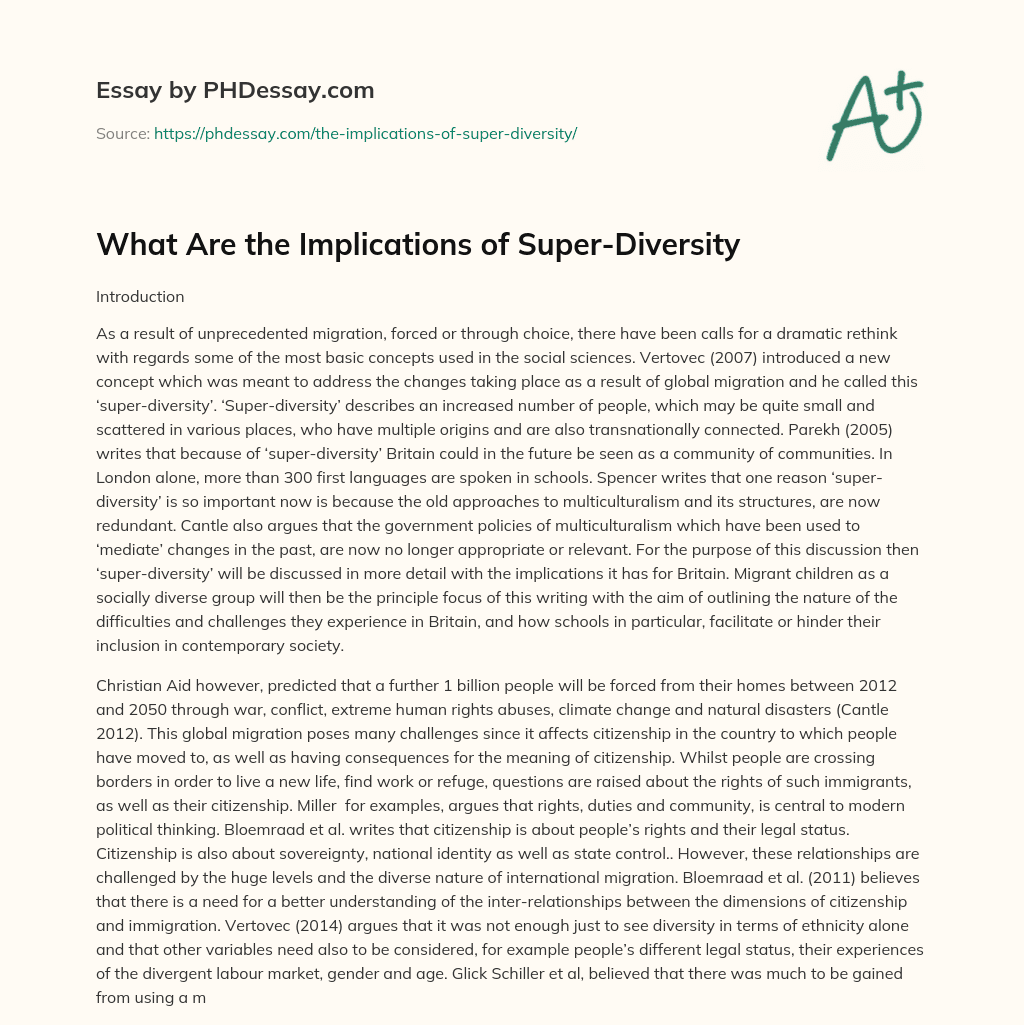 What Are the Implications of Super-Diversity essay