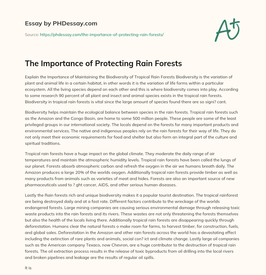 The Importance of Protecting Rain Forests essay