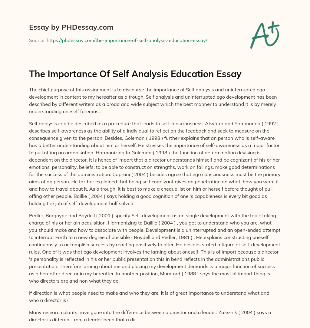 The Importance Of Self Analysis Education Essay essay