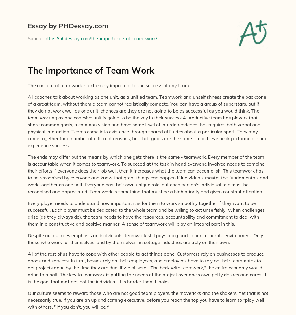 The Importance of Team Work essay