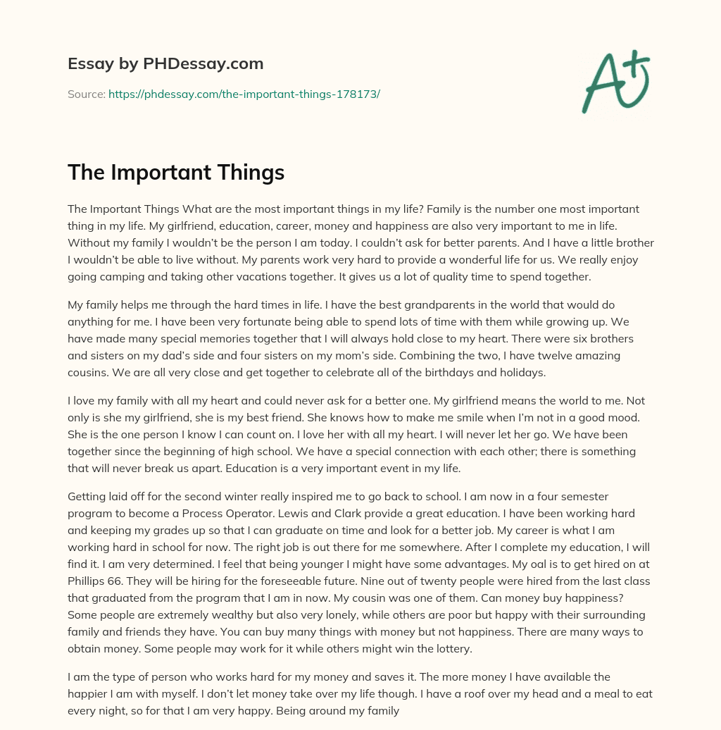 The Important Things essay