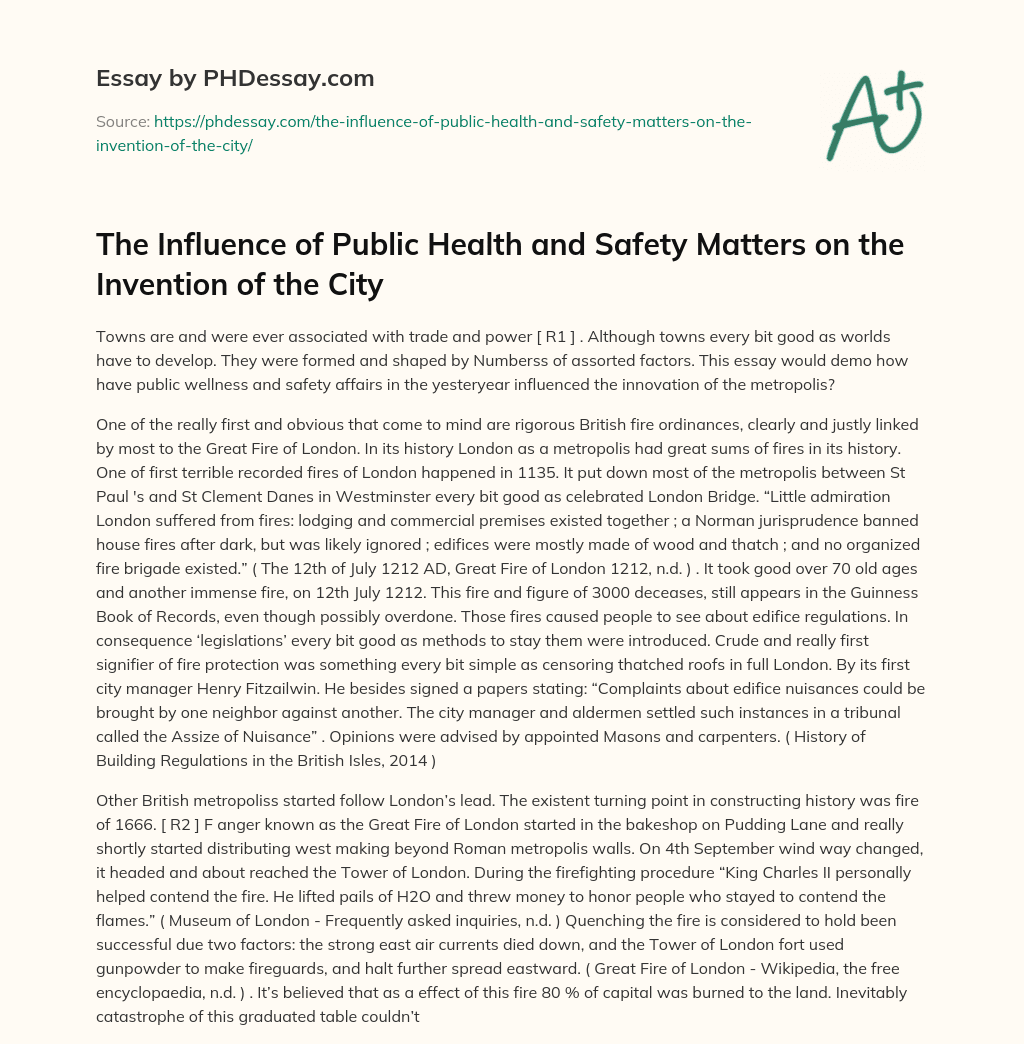 The Influence of Public Health and Safety Matters on the Invention of the City essay