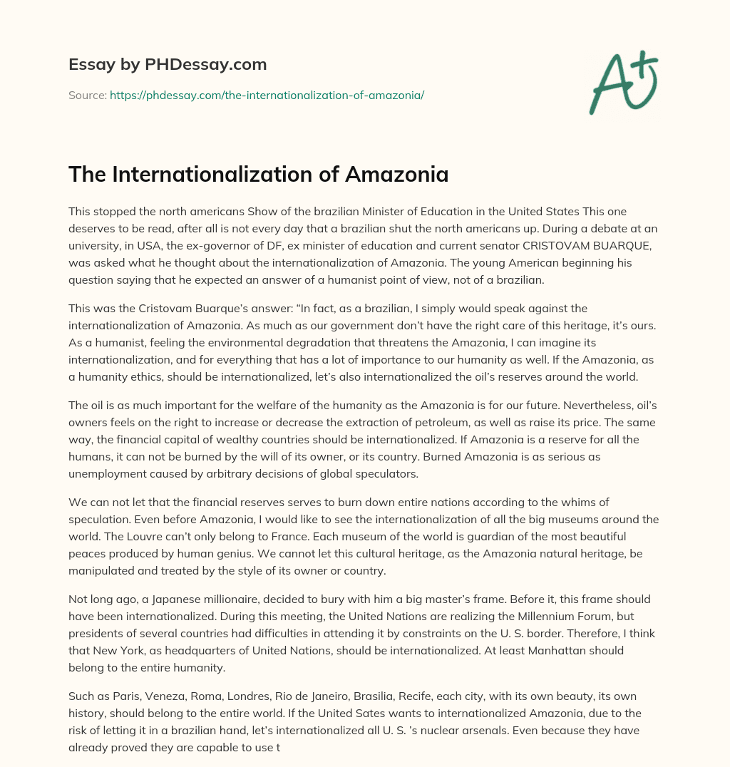 The Internationalization of Amazonia essay