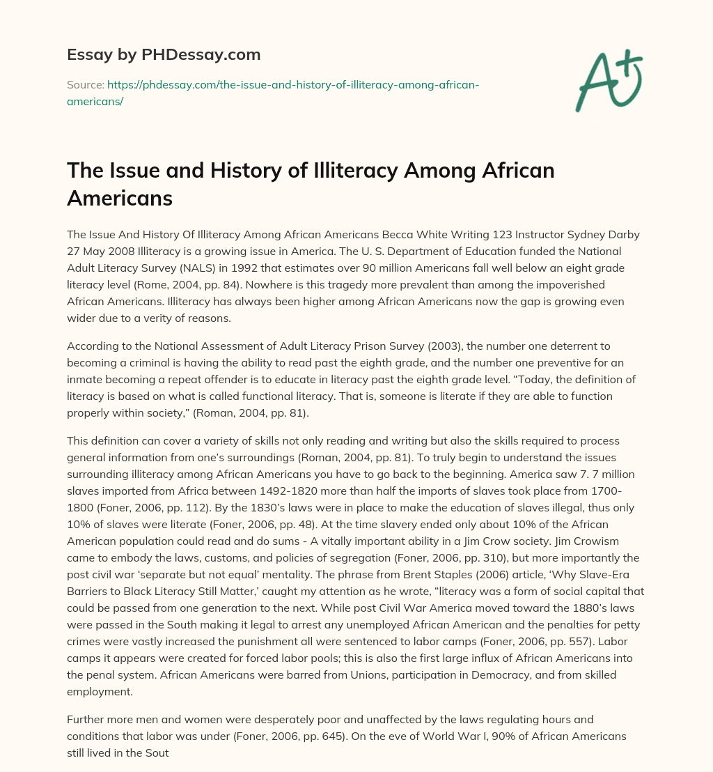 The Issue and History of Illiteracy Among African Americans essay