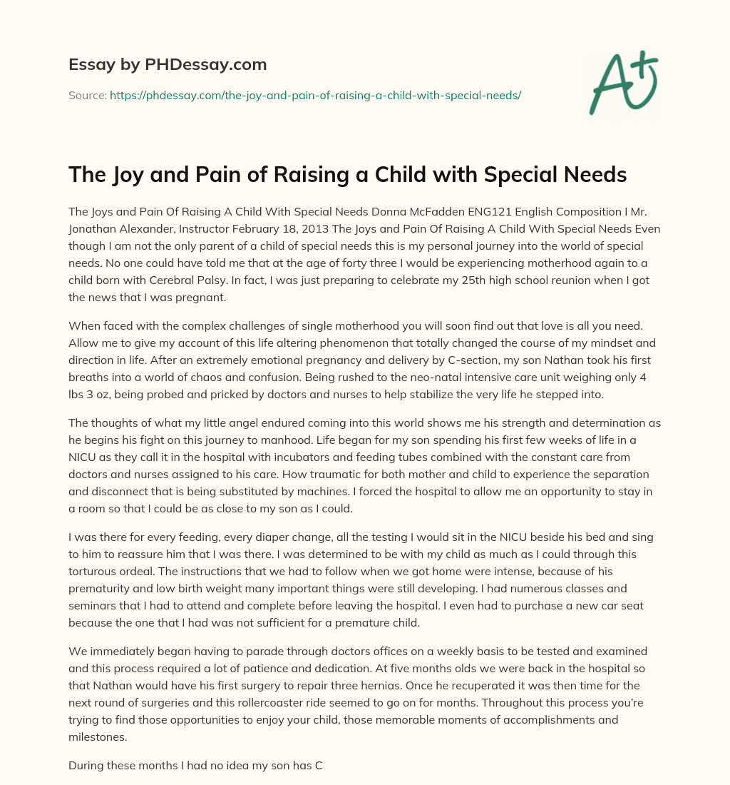 The Joy and Pain of Raising a Child with Special Needs essay