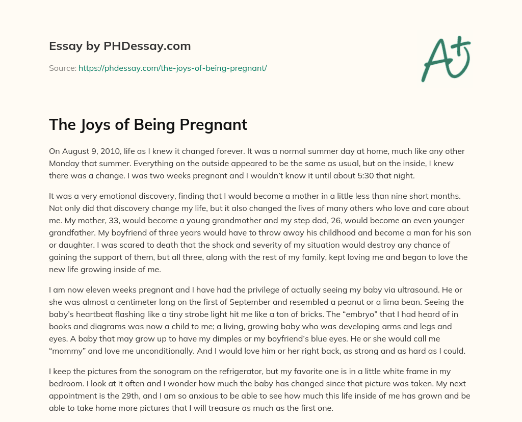 The Joys of Being Pregnant essay