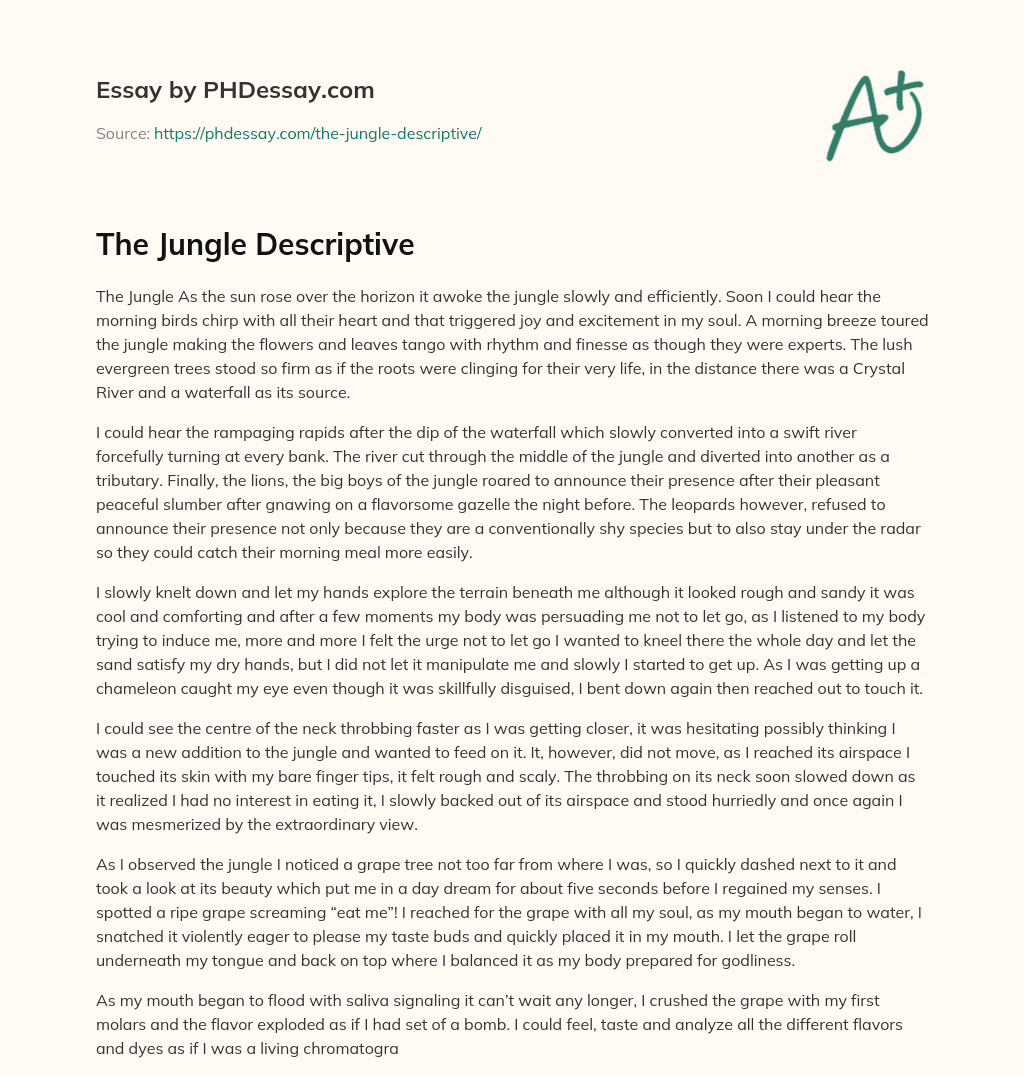 jungle descriptive essay