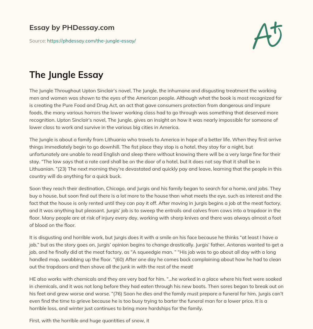 essay on the jungle