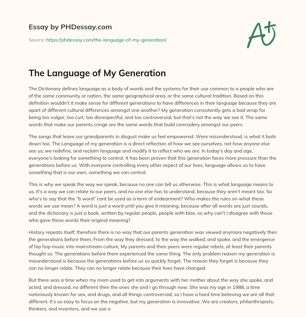 The Language of My Generation essay