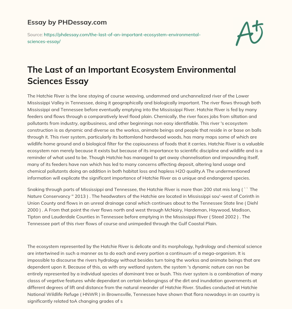 ecosystem essay conclusion