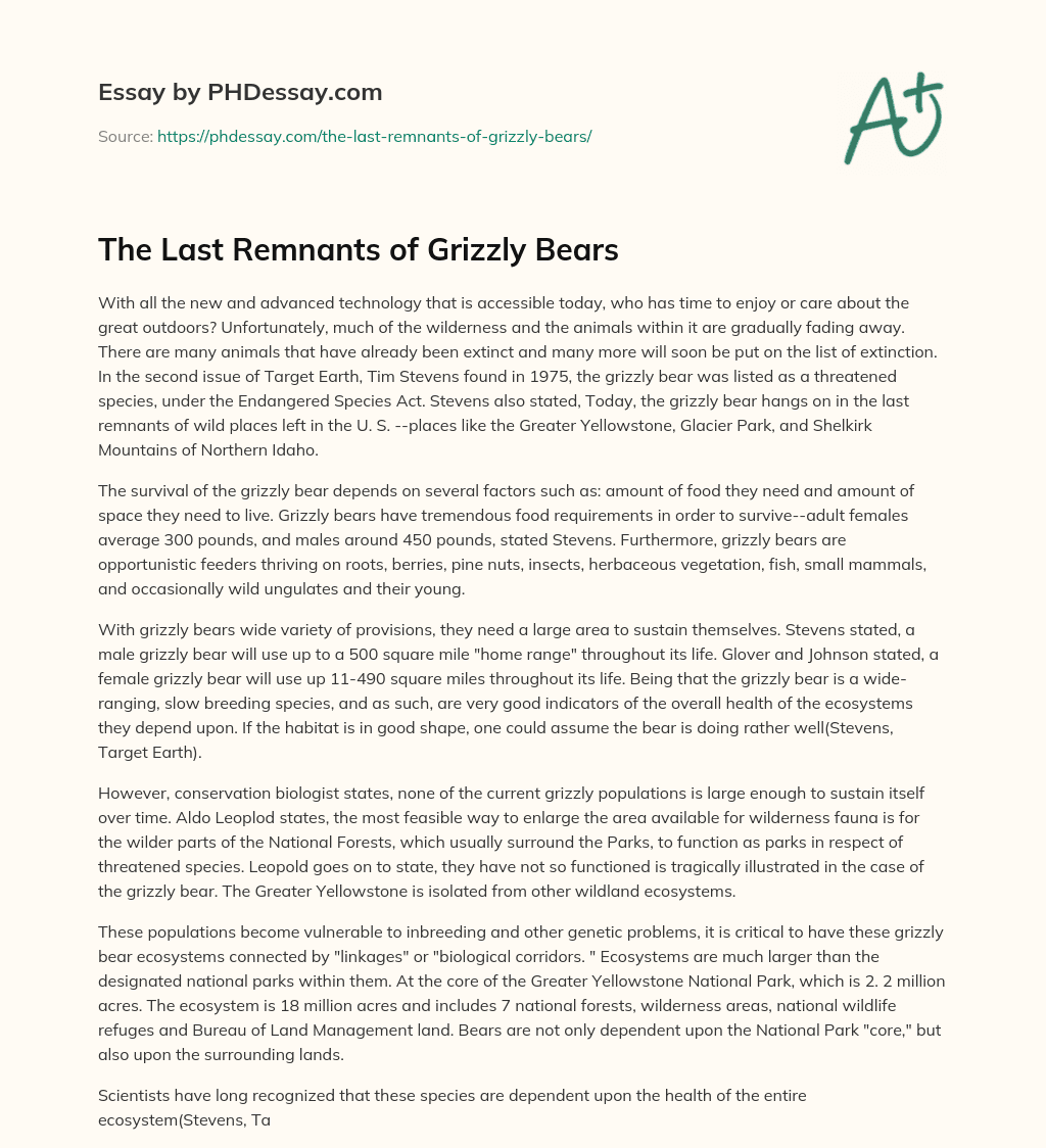 The Last Remnants of Grizzly Bears essay