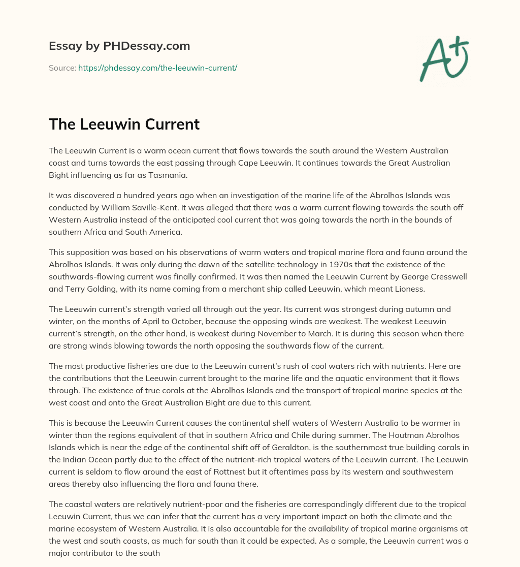 The Leeuwin Current essay