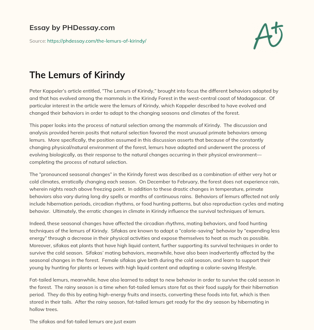 The Lemurs of Kirindy essay