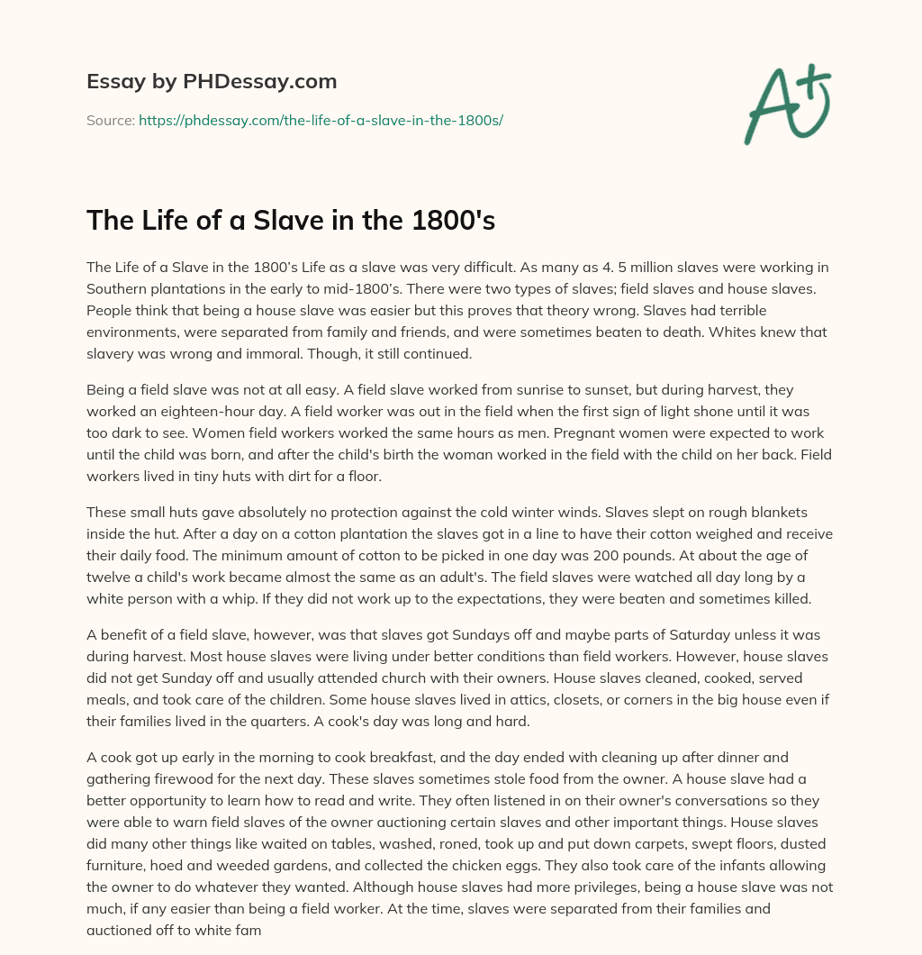 The Life of a Slave in the 1800’s essay