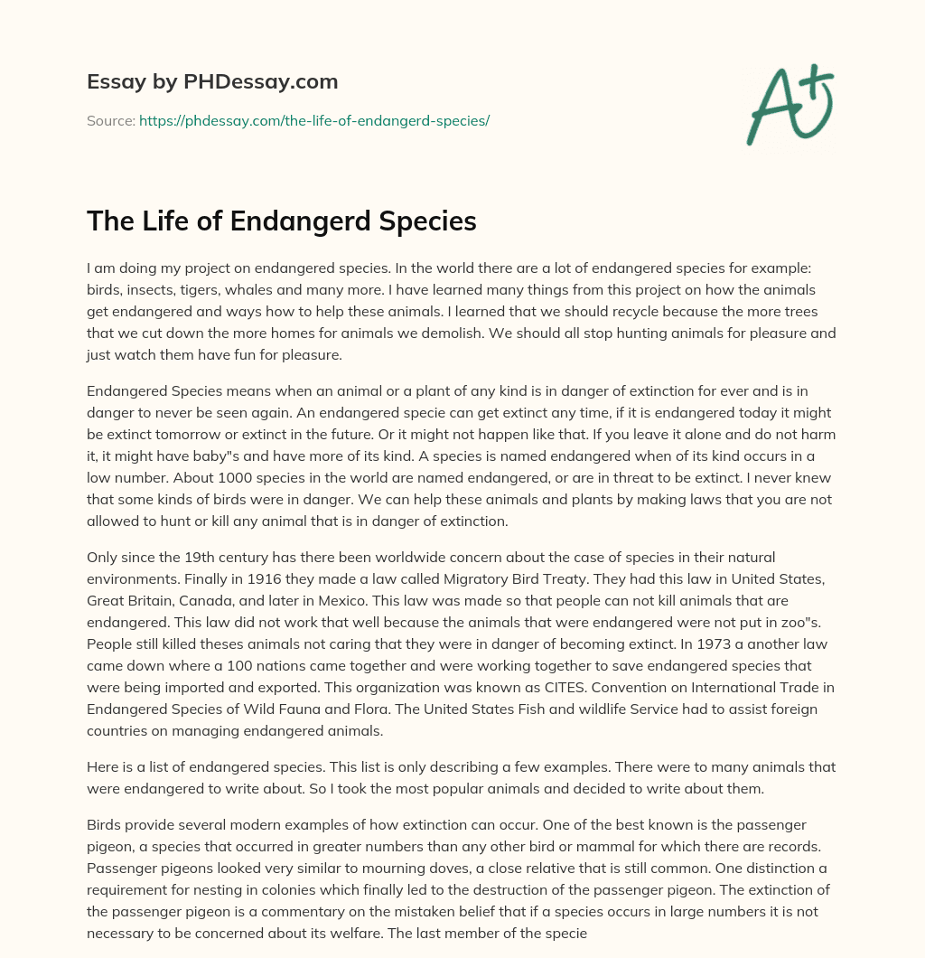 The Life of Endangerd Species essay