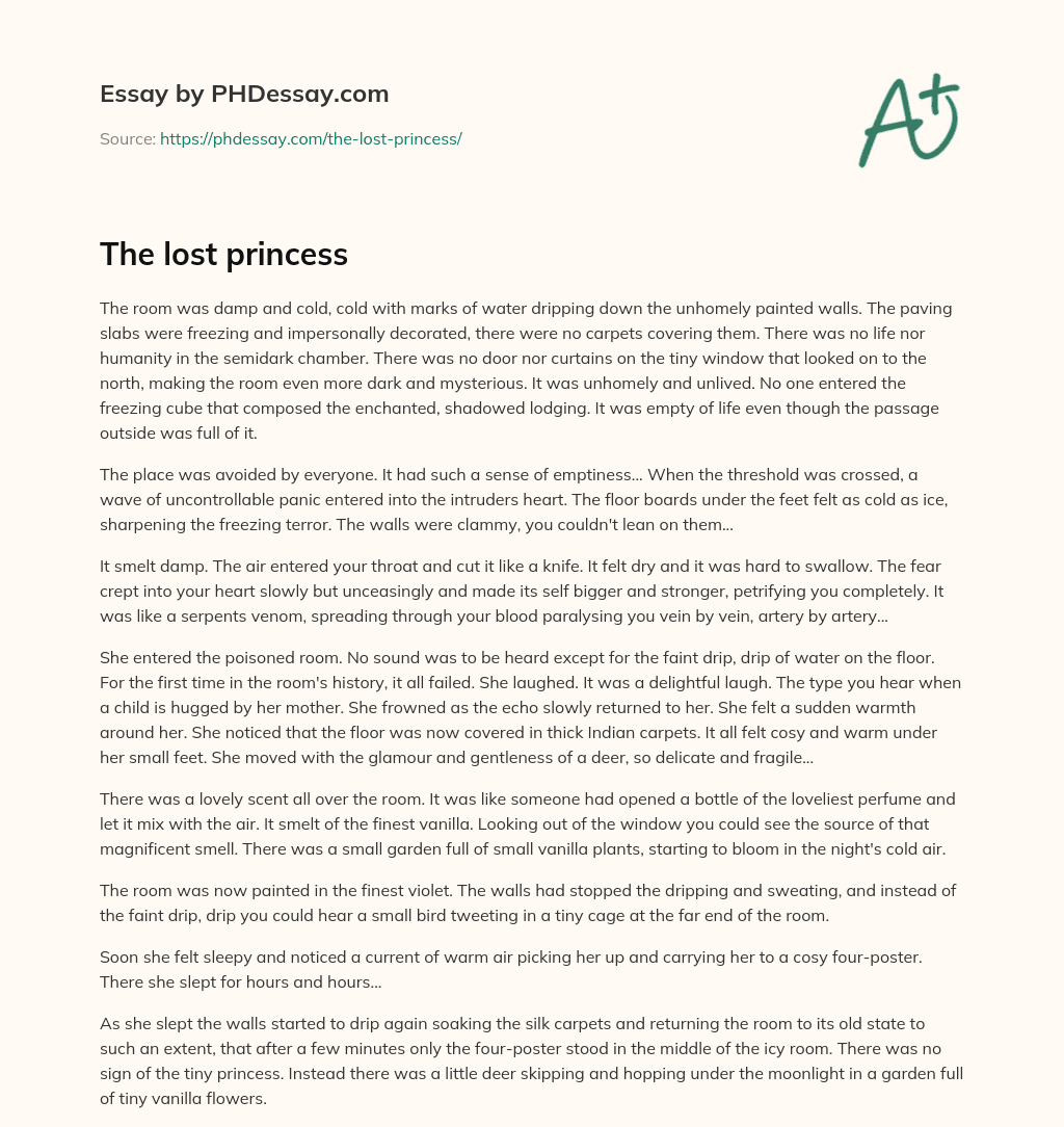 The lost princess essay