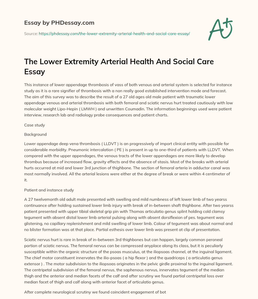 The Lower Extremity Arterial Health And Social Care Essay essay