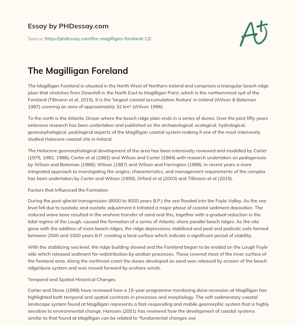 The Magilligan Foreland essay