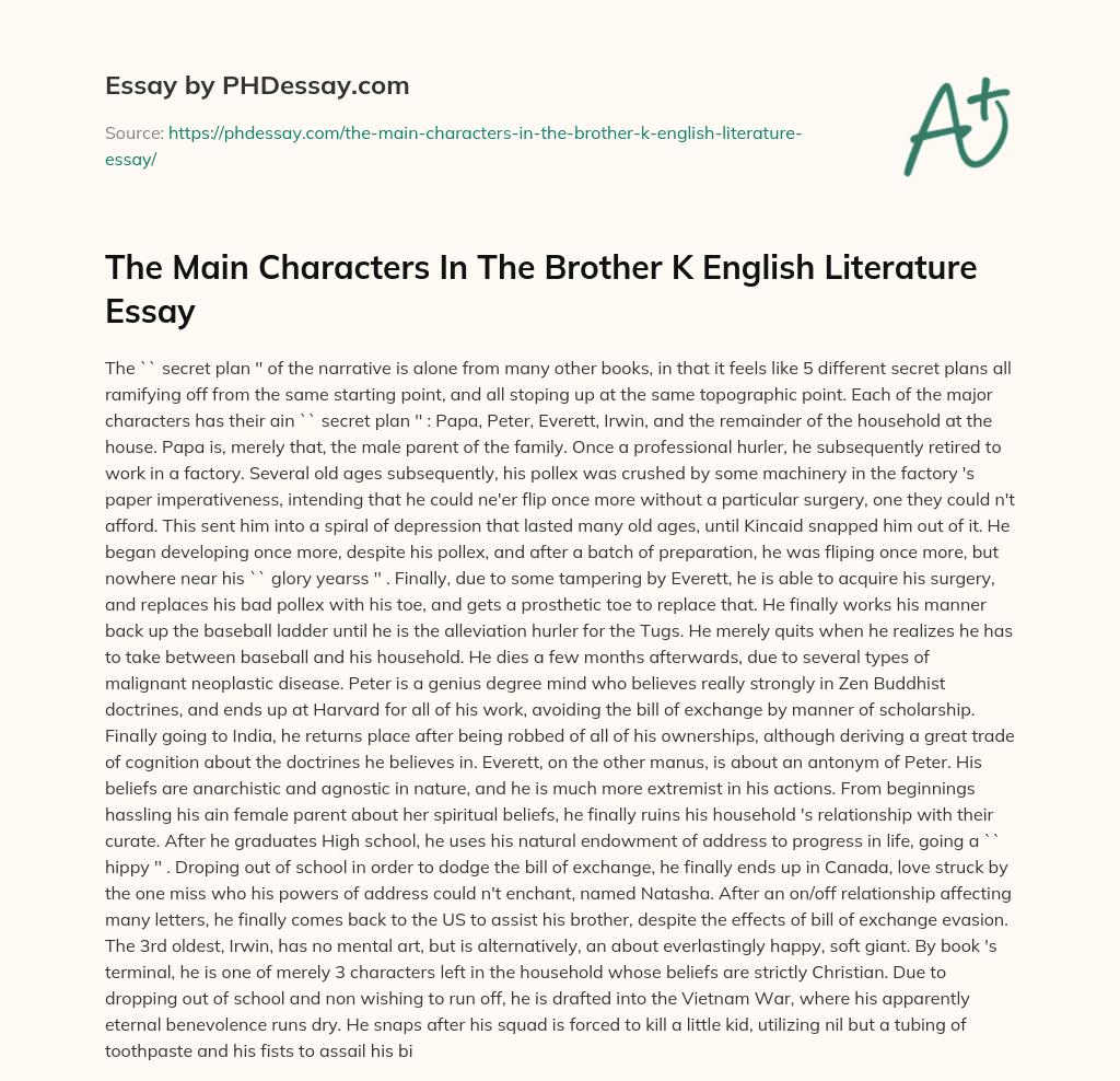 The Main Characters In The Brother K English Literature Essay essay
