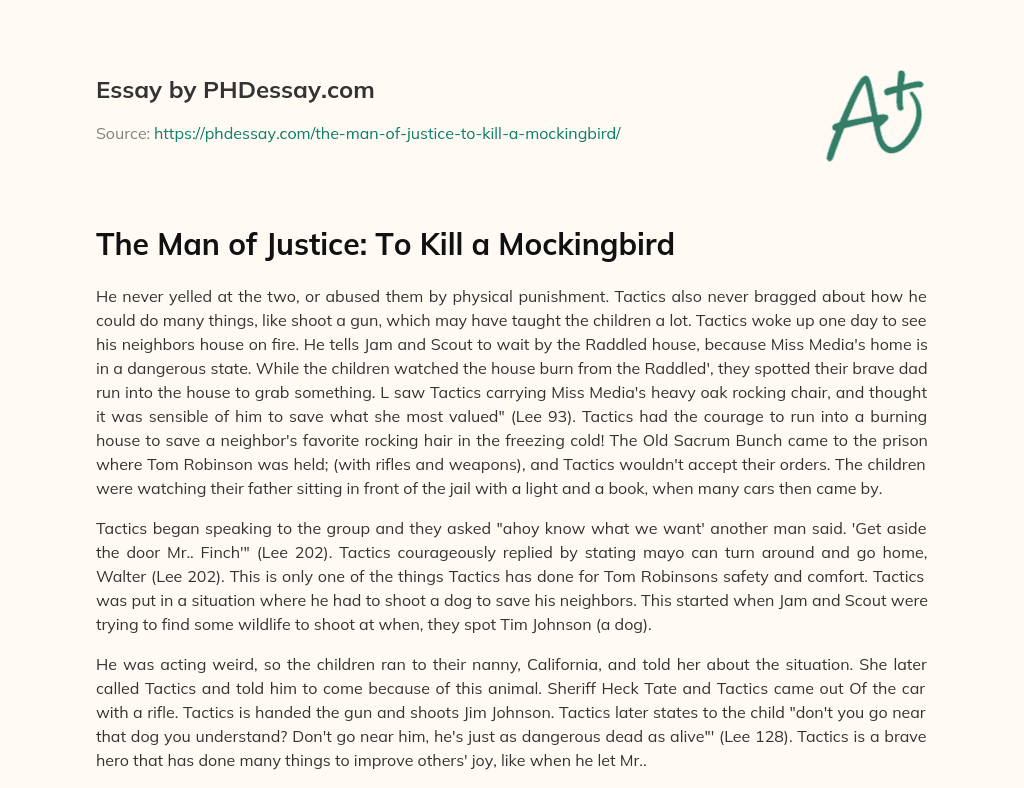 The Man of Justice: To Kill a Mockingbird essay
