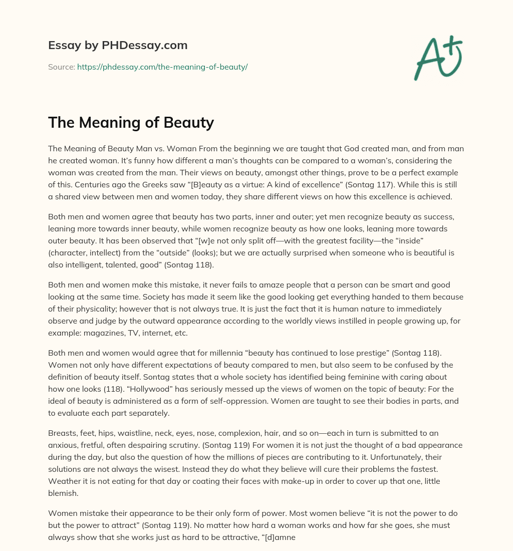 The Meaning of Beauty essay
