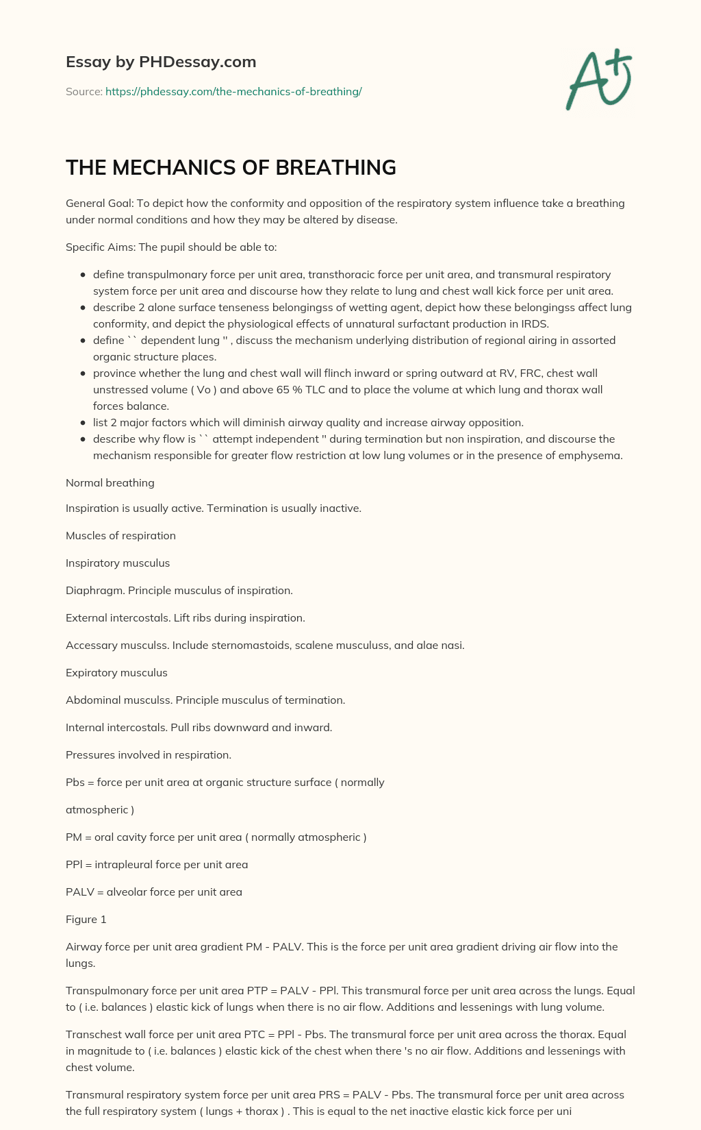 THE MECHANICS OF BREATHING essay
