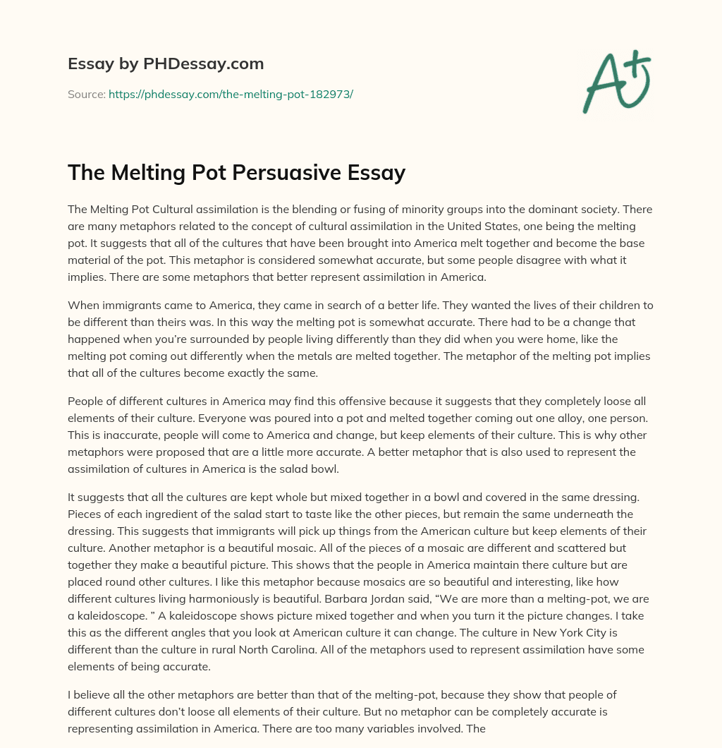 The Melting Pot Persuasive Essay essay