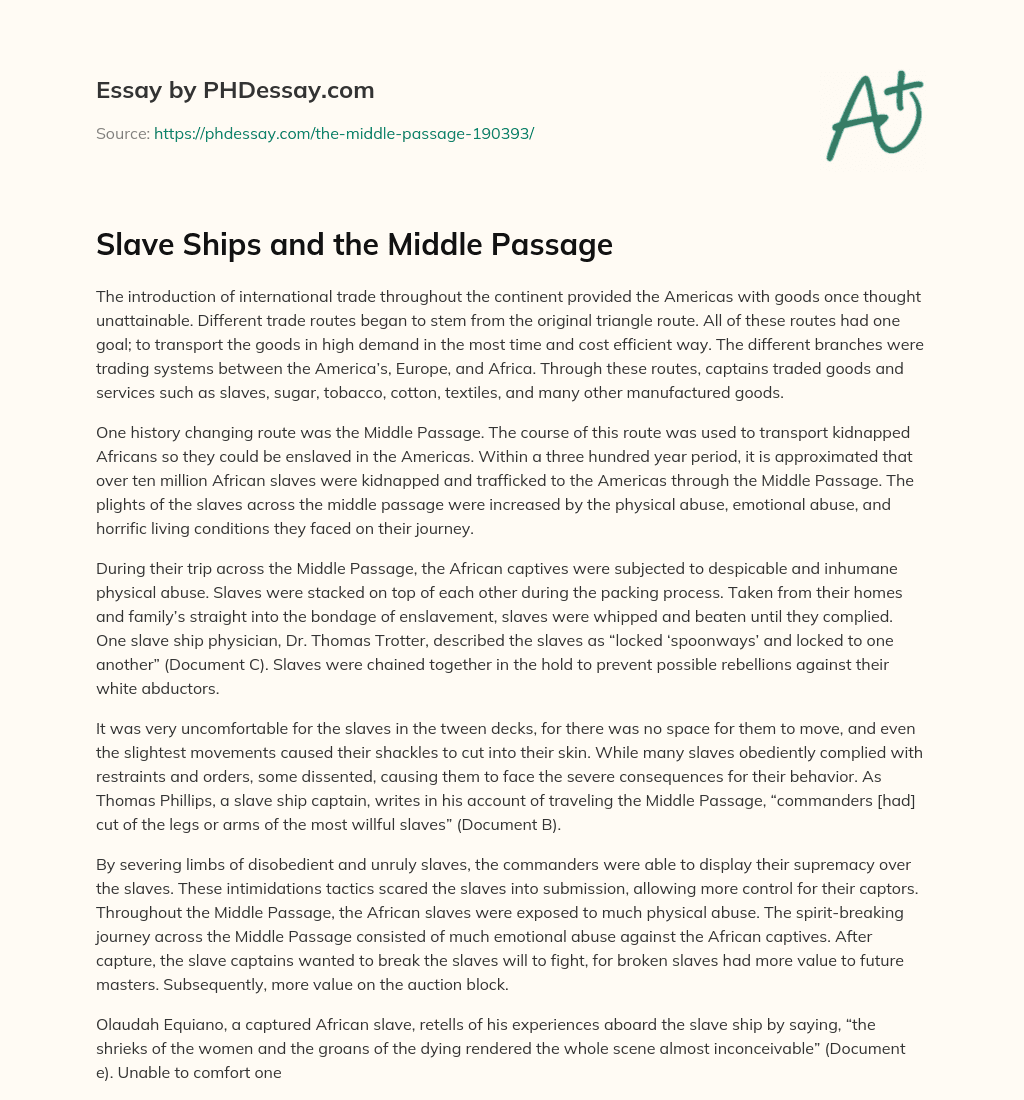 Slave Ships and the Middle Passage essay