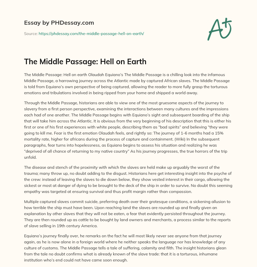The Middle Passage: Hell on Earth essay