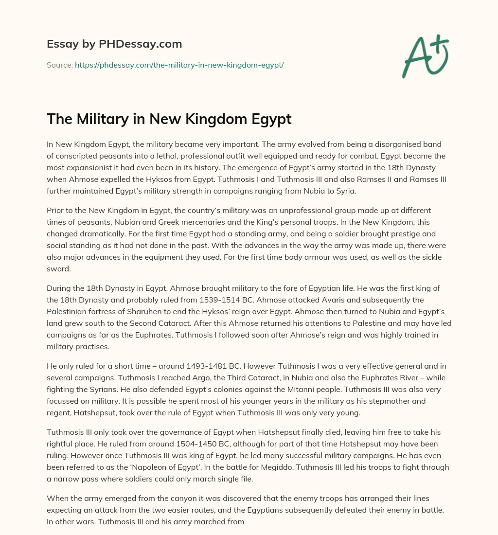The Military in New Kingdom Egypt essay