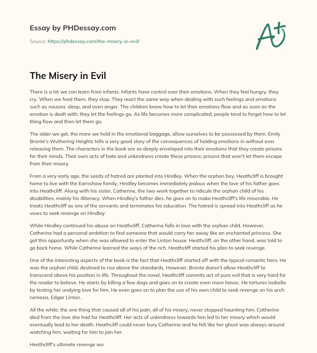 The Misery in Evil essay