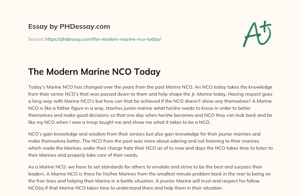 The Modern Marine NCO Today essay