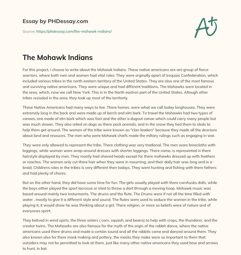 The Mohawk Indians essay