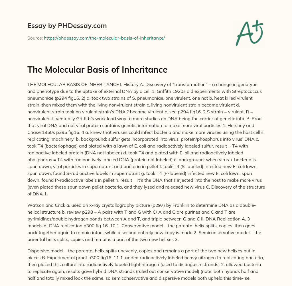 The Molecular Basis of Inheritance essay