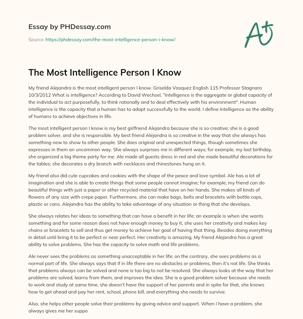 The Most Intelligence Person I Know essay