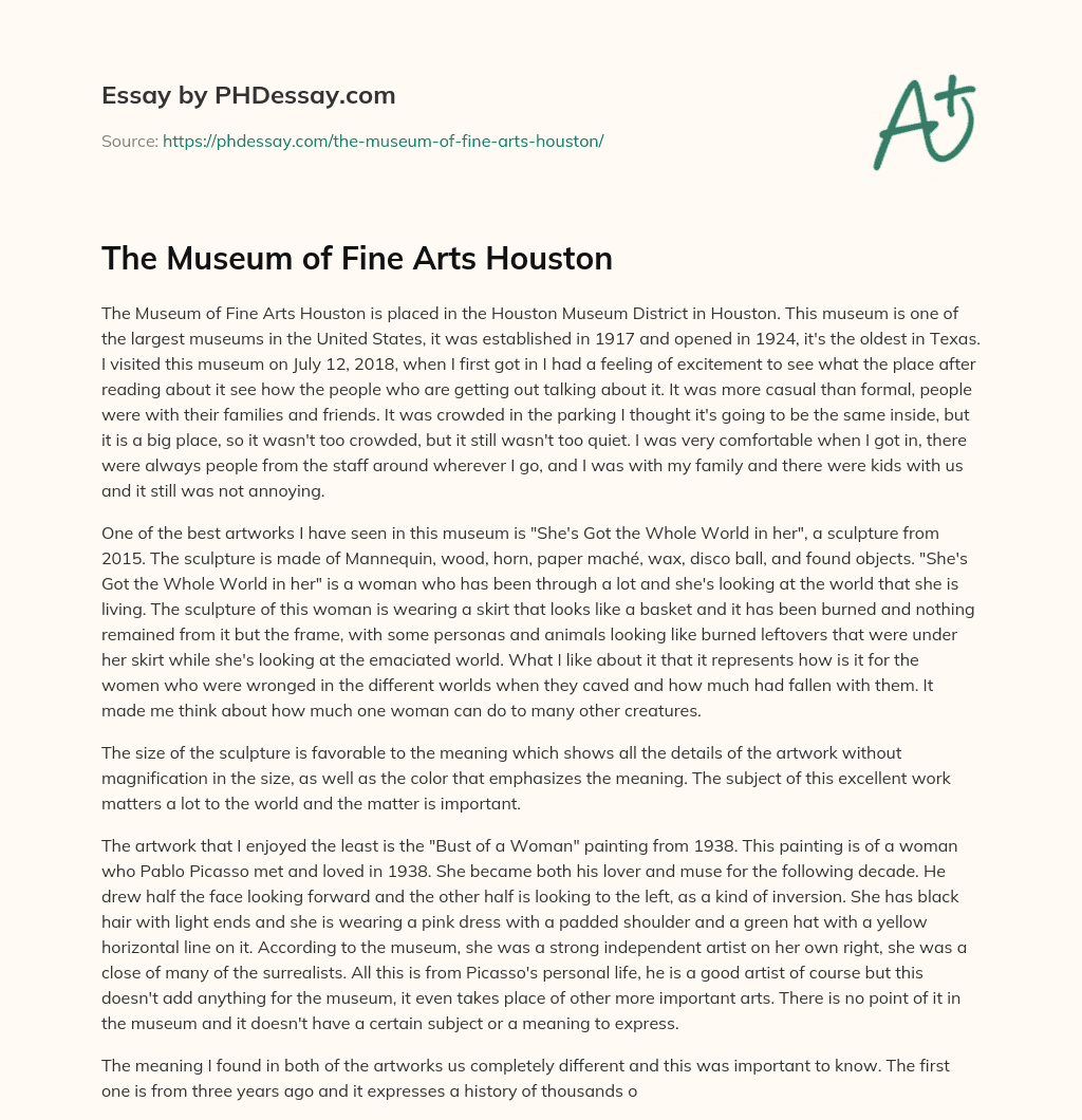 The Museum of Fine Arts Houston essay