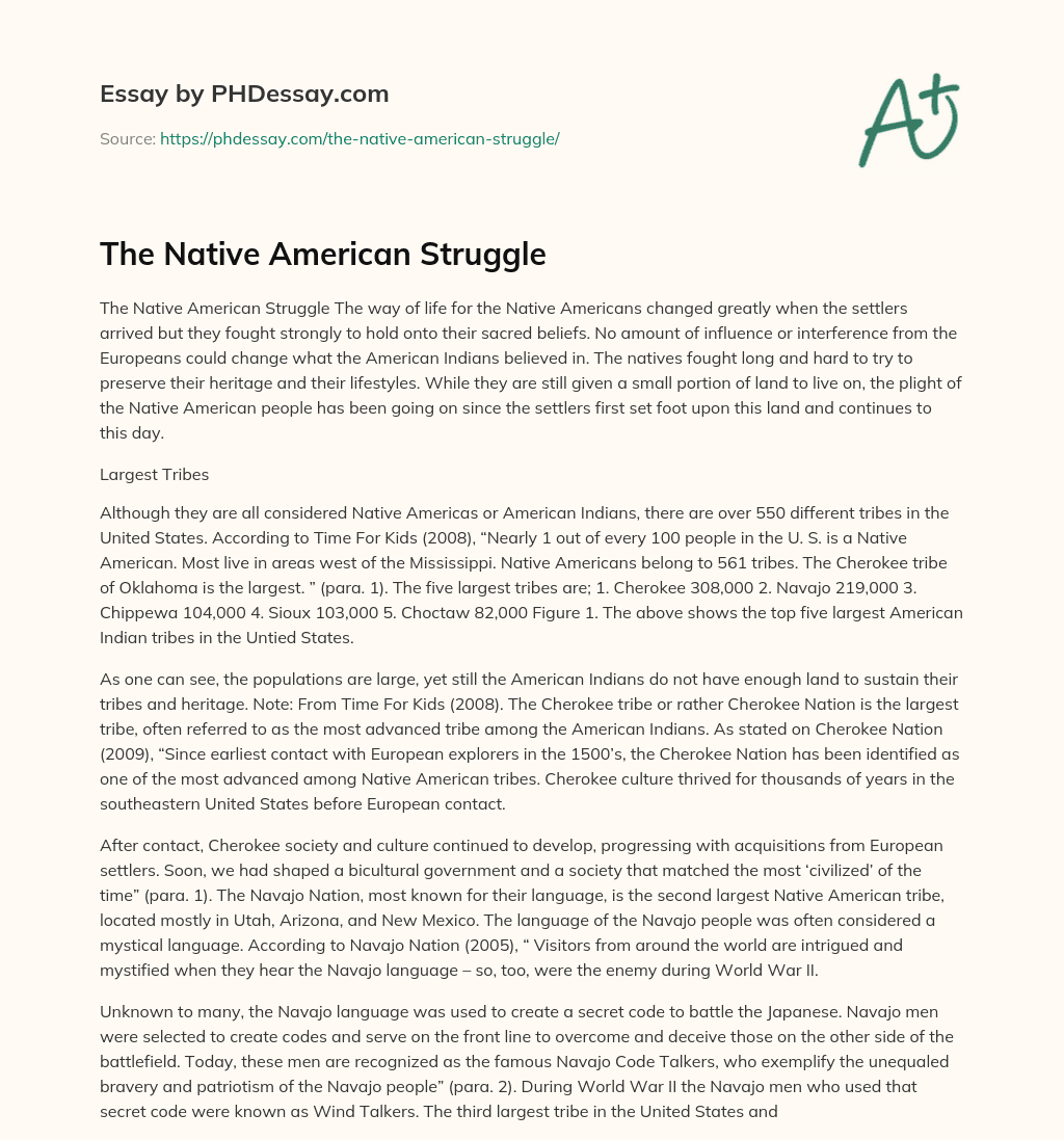 The Native American Struggle essay