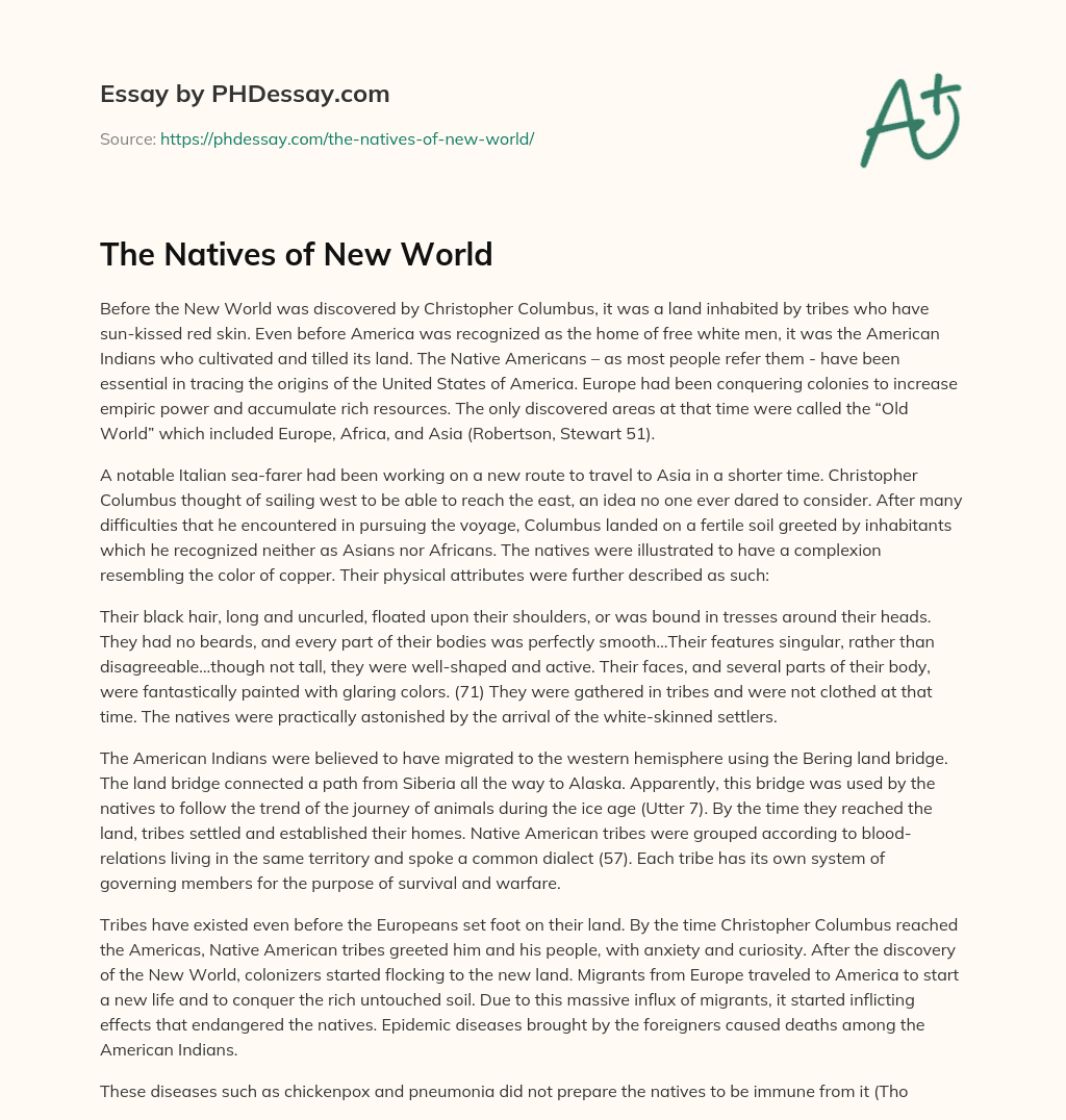 The Natives of New World essay