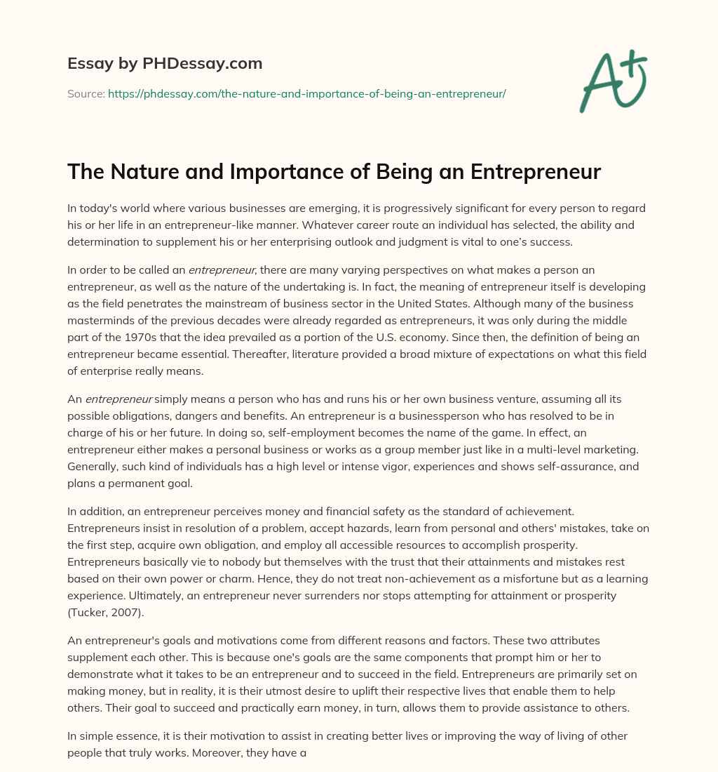 The Nature and Importance of Being an Entrepreneur essay