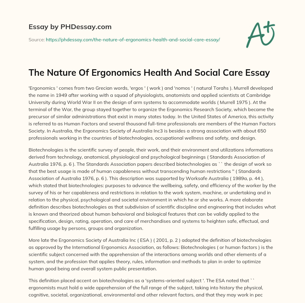 The Nature Of Ergonomics Health And Social Care Essay essay