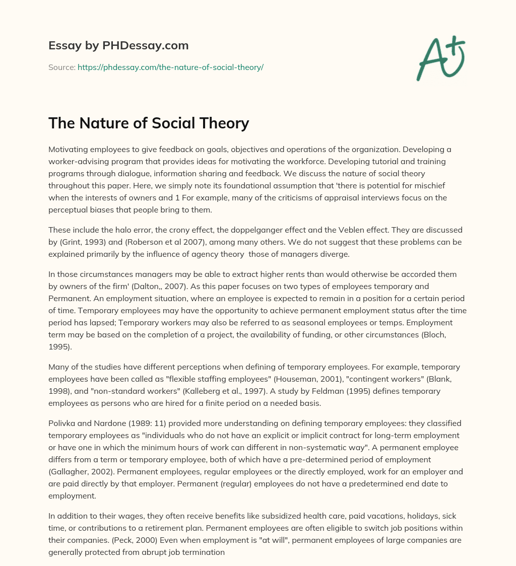 The Nature of Social Theory essay