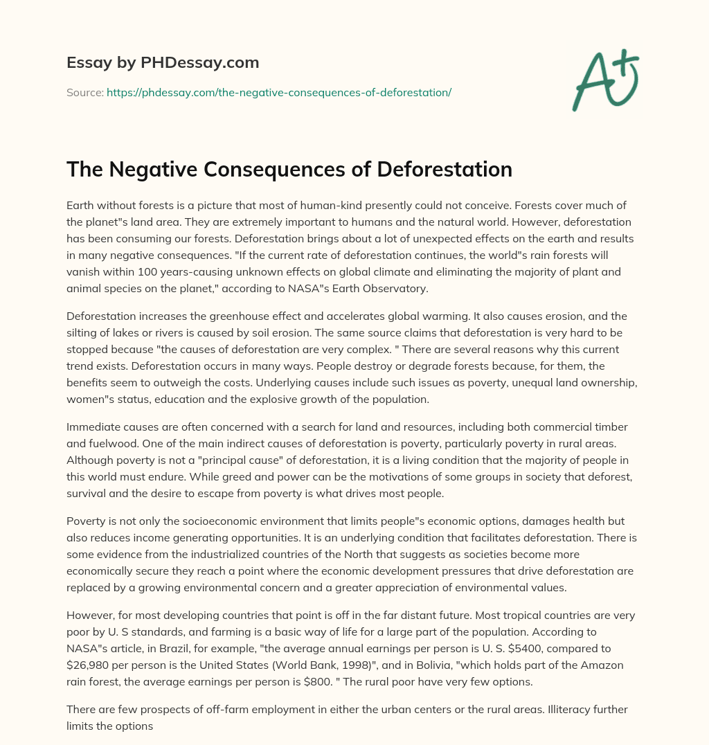 deforestation essay consequences